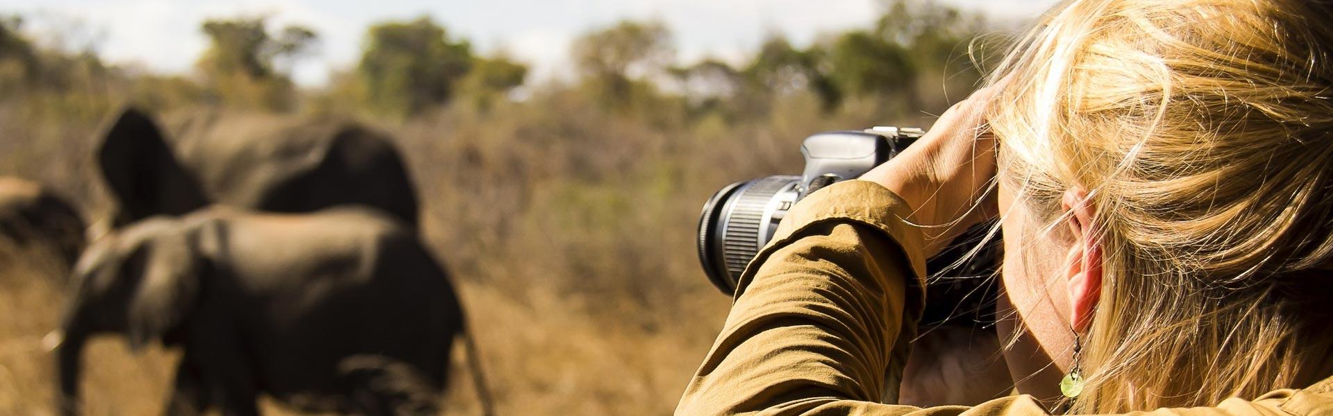 Tanzania wildlife photography safari